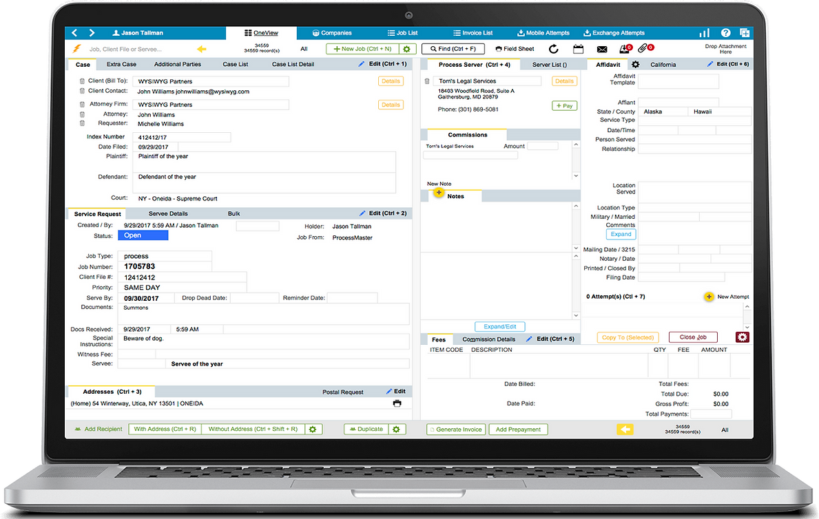ProcessMaster OneView interface showing case management, affidavits, and invoicing